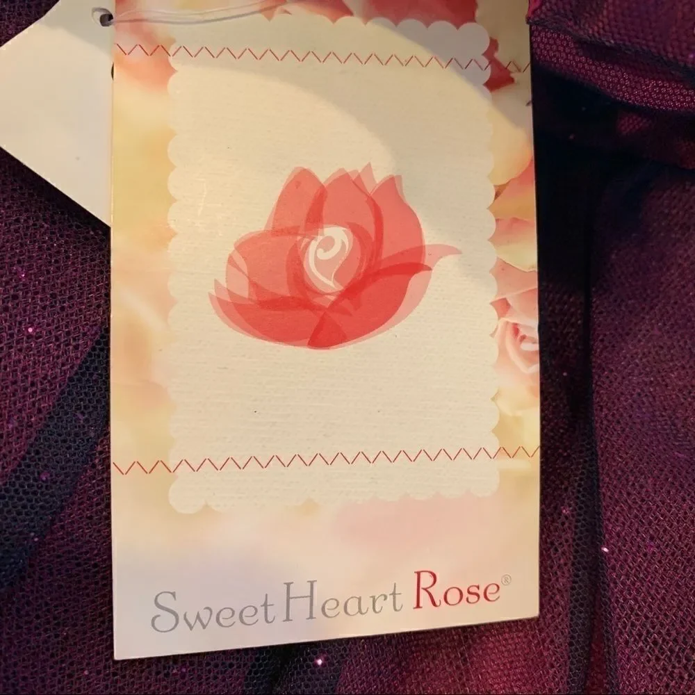 Sweet Heart Rose Girls Party Dress NWT